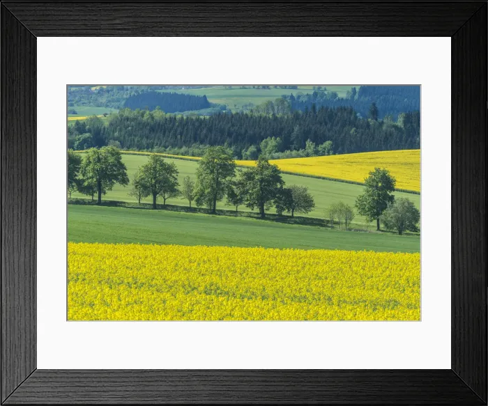 Framed Print : DDE-90029102