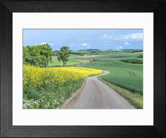 Framed Print : DDE-90029103 Framed Print : DDE-90029103