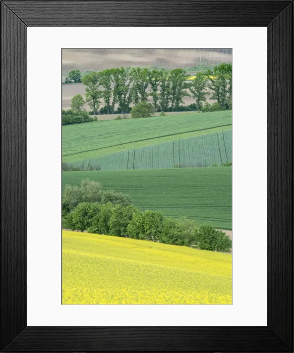 Framed Print : DDE-90029104 Framed Print : DDE-90029104