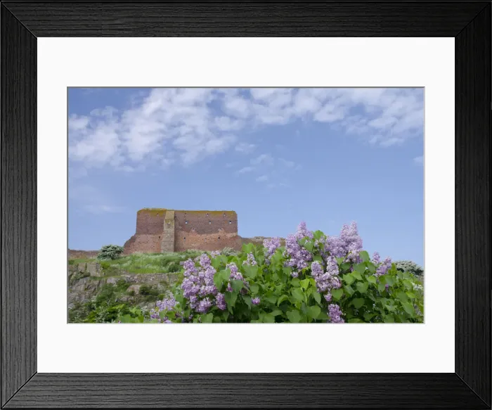 Framed Print : DDE-90029114 Framed Print : DDE-90029114