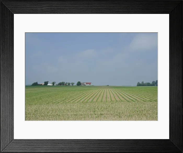 Framed Print : DDE-90029116 Framed Print : DDE-90029116