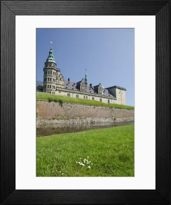 Framed Print : DDE-90029120 Framed Print : DDE-90029120