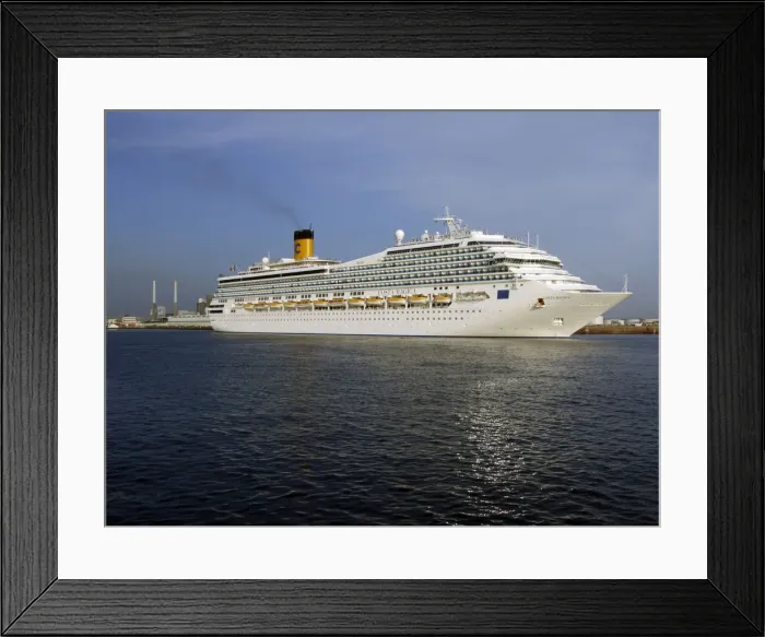 Framed Print : DDE-90029169