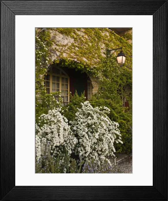 Framed Print : DDE-90029173 Framed Print : DDE-90029173