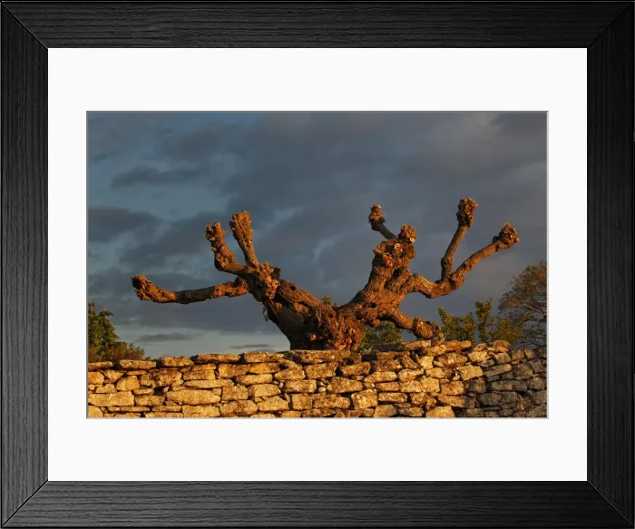 Framed Print : DDE-90029192 Framed Print : DDE-90029192