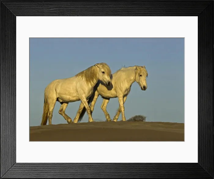 Framed Print : DDE-90029193 Framed Print : DDE-90029193