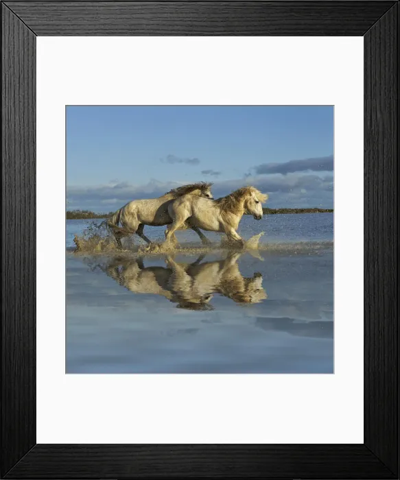 Framed Print : DDE-90029200 Framed Print : DDE-90029200