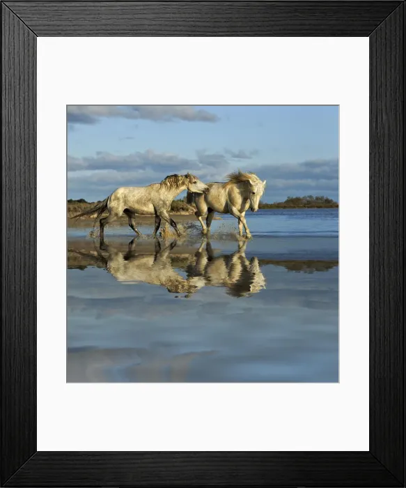 Framed Print : DDE-90029199