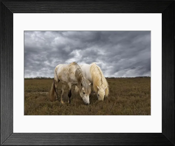 Framed Print : DDE-90029202