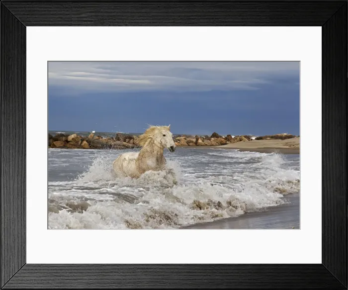 Framed Print : DDE-90029206 Framed Print : DDE-90029206