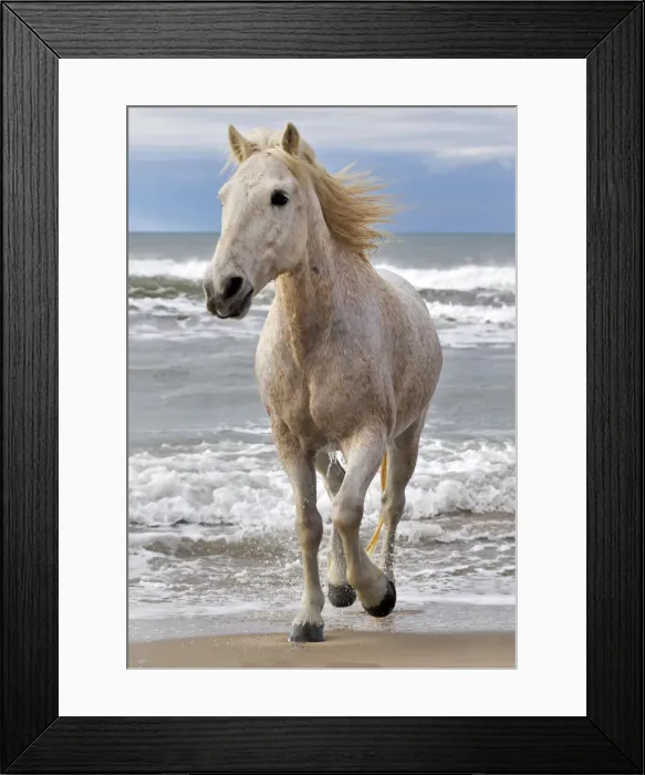 Framed Print : DDE-90029205 Framed Print : DDE-90029205
