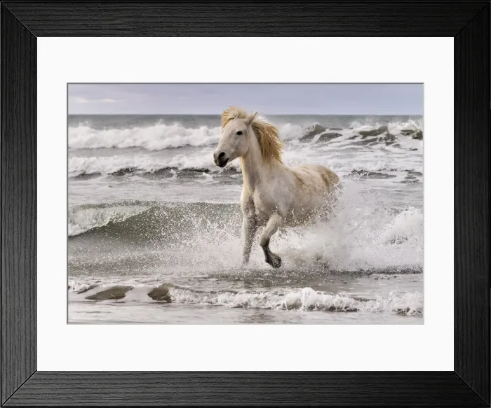 Framed Print : DDE-90029207 Framed Print : DDE-90029207