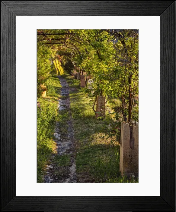 Framed Print : DDE-90029208 Framed Print : DDE-90029208