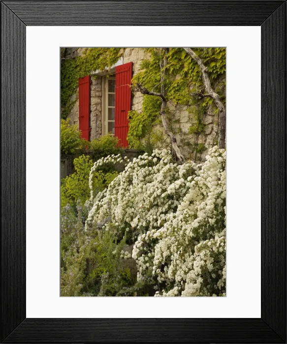 Framed Print : DDE-90029212 Framed Print : DDE-90029212