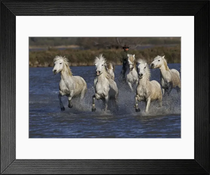Framed Print : DDE-90029220 Framed Print : DDE-90029220