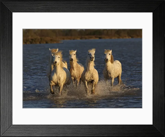 Framed Print : DDE-90029224 Framed Print : DDE-90029224