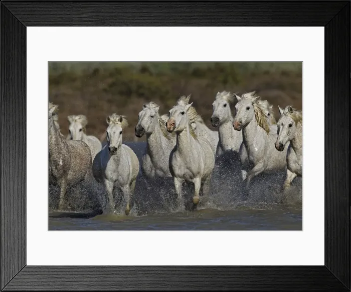 Framed Print : DDE-90029225 Framed Print : DDE-90029225