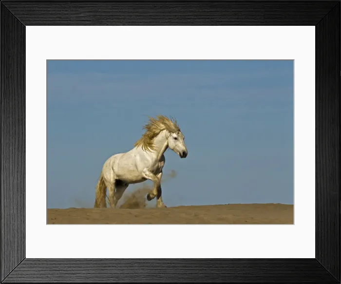 Framed Print : DDE-90029231 Framed Print : DDE-90029231