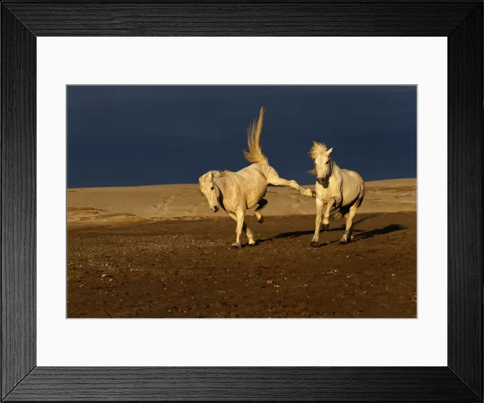 Framed Print : DDE-90029232