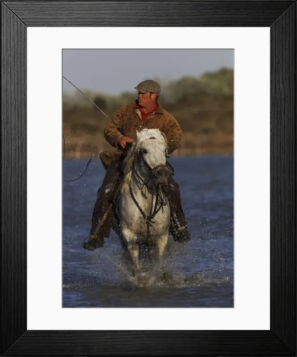 Framed Print : DDE-90029235 Framed Print : DDE-90029235