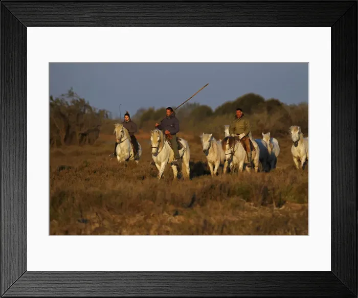 Framed Print : DDE-90029242 Framed Print : DDE-90029242