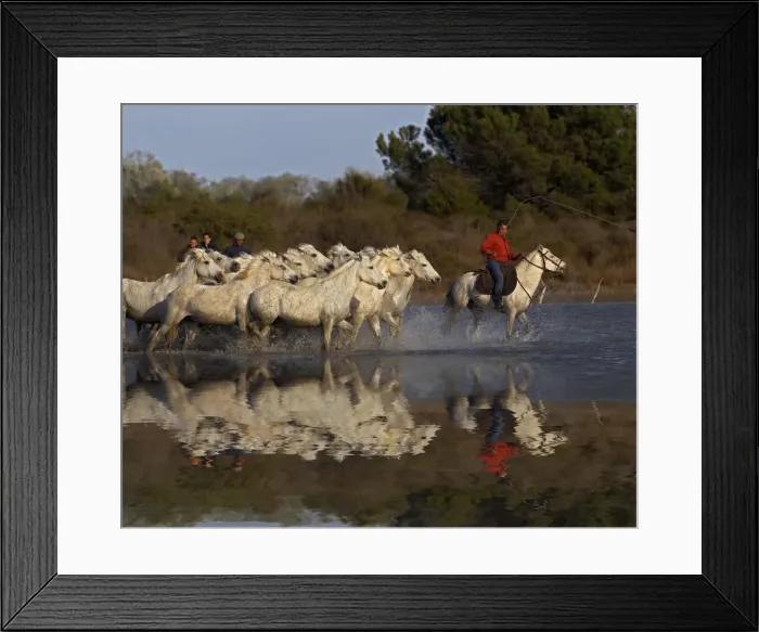 Framed Print : DDE-90029243 Framed Print : DDE-90029243