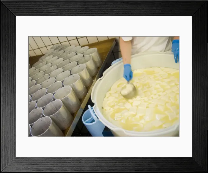Framed Print : DDE-90029246 Framed Print : DDE-90029246