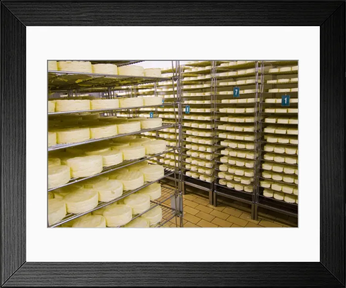 Framed Print : DDE-90029248 Framed Print : DDE-90029248