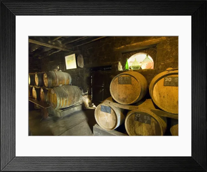 Framed Print : DDE-90029249 Framed Print : DDE-90029249