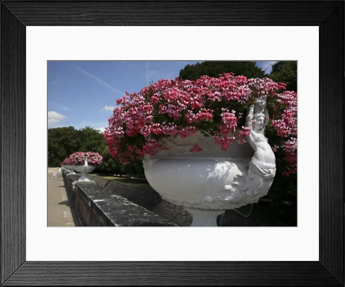 Framed Print : DDE-90029282