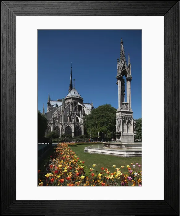 Framed Print : DDE-90029308 Framed Print : DDE-90029308