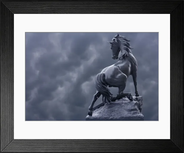 Framed Print : DDE-90029315 Framed Print : DDE-90029315
