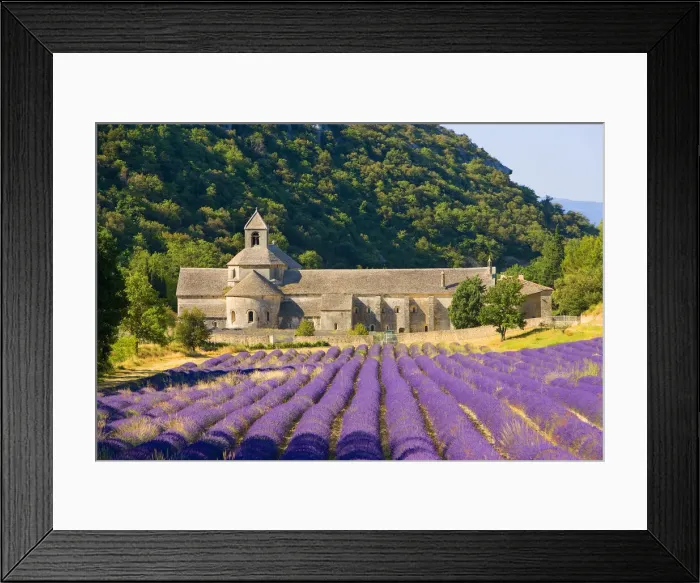 Framed Print : DDE-90029319