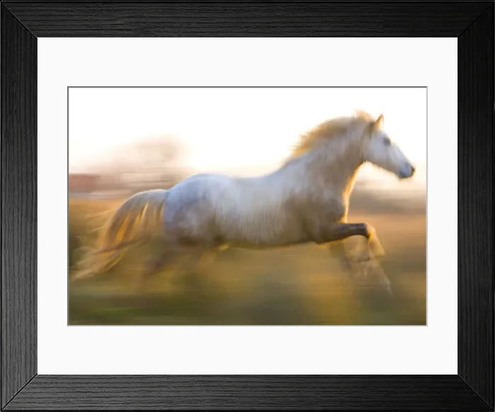 Framed Print : DDE-90029335 Framed Print : DDE-90029335
