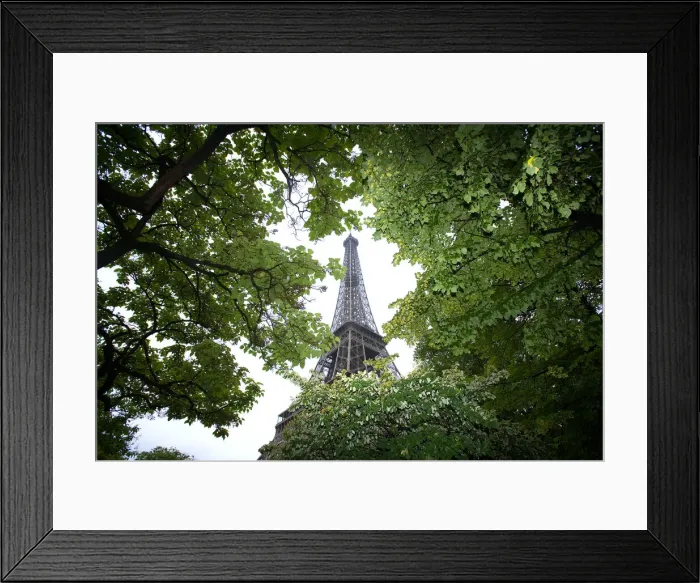 Framed Print : DDE-90029333 Framed Print : DDE-90029333