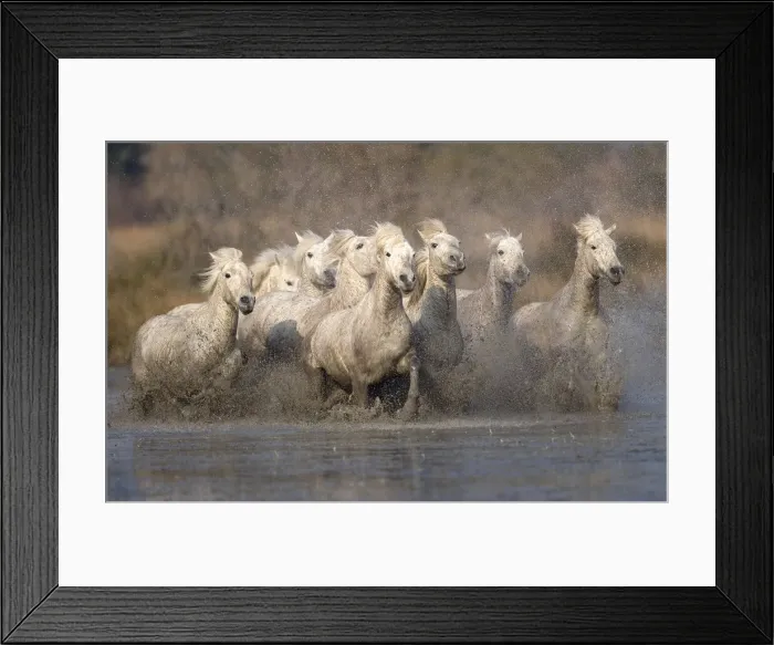 Framed Print : DDE-90029336 Framed Print : DDE-90029336