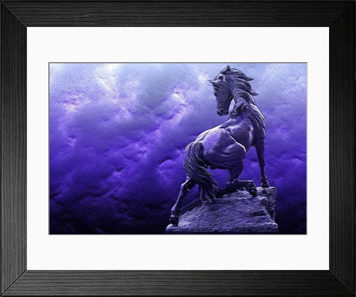 Framed Print : DDE-90029340 Framed Print : DDE-90029340