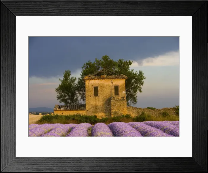 Framed Print : DDE-90029347 Framed Print : DDE-90029347
