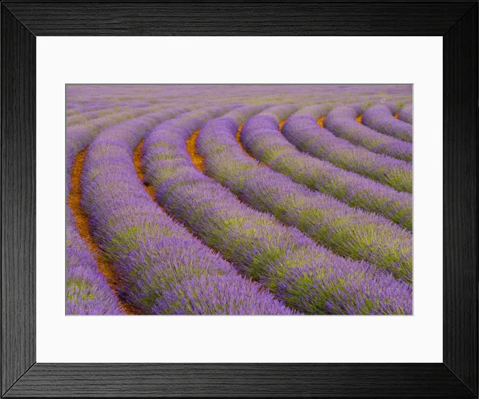 Framed Print : DDE-90029348 Framed Print : DDE-90029348