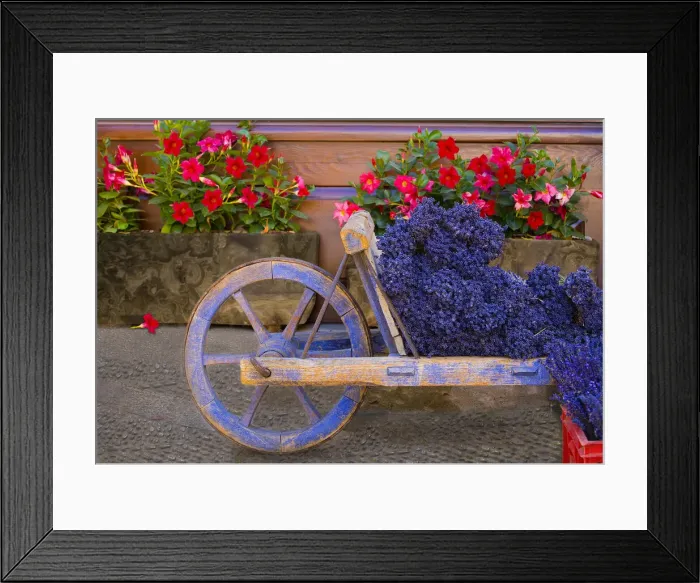 Framed Print : DDE-90029349 Framed Print : DDE-90029349