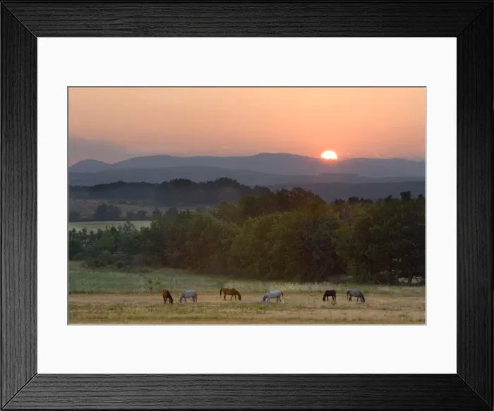 Framed Print : DDE-90029350 Framed Print : DDE-90029350