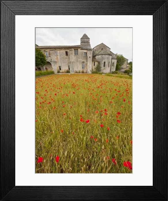 Framed Print : DDE-90029361 Framed Print : DDE-90029361