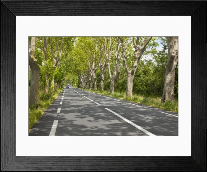 Framed Print : DDE-90029365 Framed Print : DDE-90029365