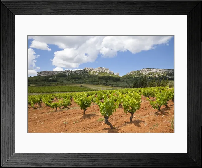 Framed Print : DDE-90029366 Framed Print : DDE-90029366