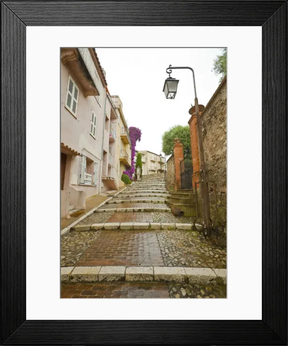 Framed Print : DDE-90029369