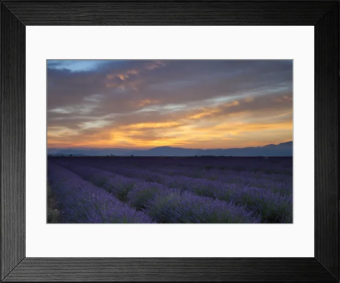 Framed Print : DDE-90029396 Framed Print : DDE-90029396