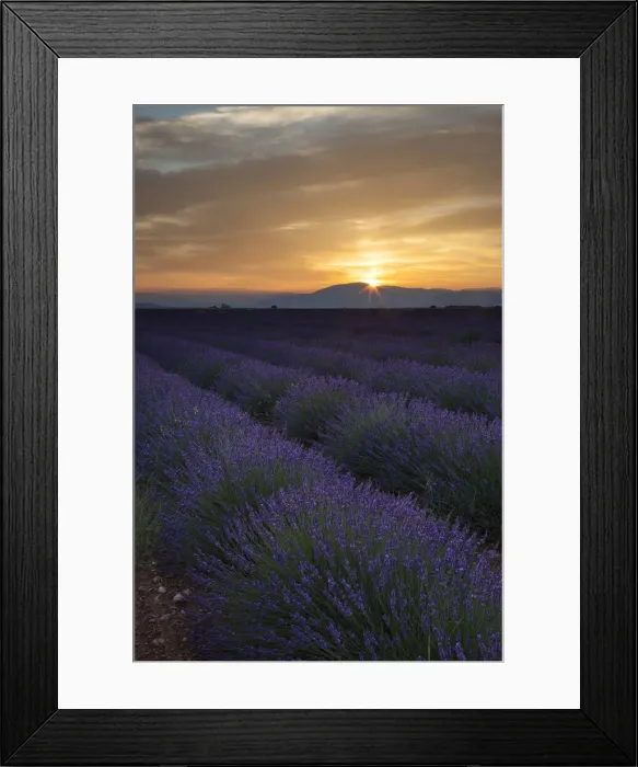 Framed Print : DDE-90029397 Framed Print : DDE-90029397