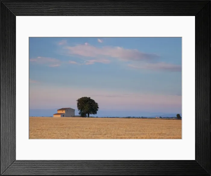 Framed Print : DDE-90029408
