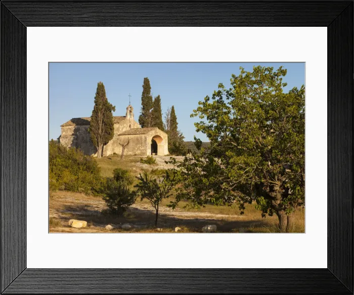 Framed Print : DDE-90029412 Framed Print : DDE-90029412