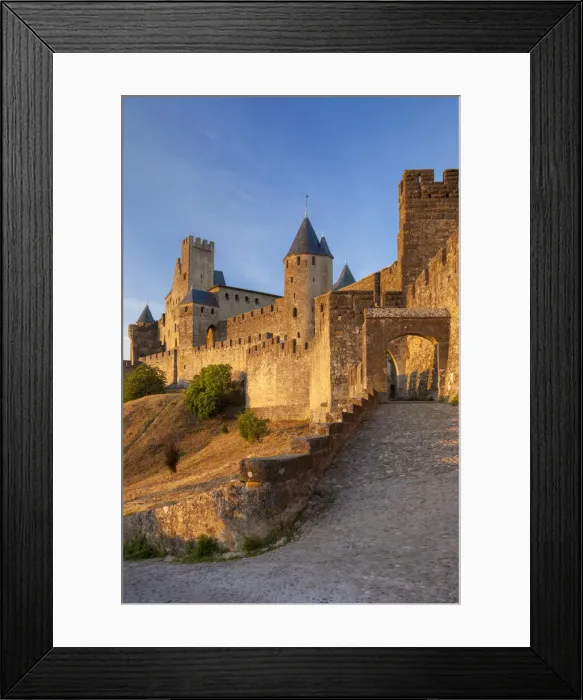 Framed Print : DDE-90029416